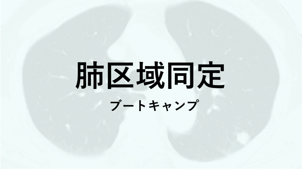 肺区域同定ブートキャンプ 症例2解答